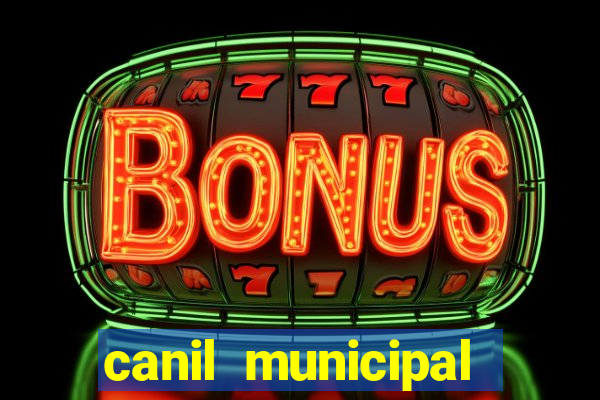 canil municipal porto alegre